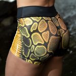 DYNAMITE BRAZIL Venomous Shorts - Golden Viper